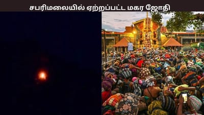 சபரிமலையில் ஏற்றப்பட்ட மகர ஜோதி.... மனமுருக பக்தர்கள் தரிசனம்
