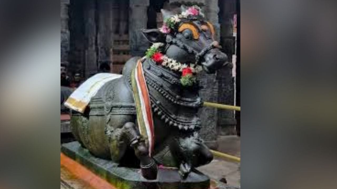 பாரம்பரிய நம்பிக்கைப்படி, நந்தி சாஷ்வத சாட்சியாகவும், பக்தர்களின் வேண்டுதல்களை கேட்டுப் பாதுகாக்கும் தெய்வமாகவும் கருதப்படுகிறார். அவர் கேட்கும் ஒவ்வொரு வேண்டுதலையும் சிவனிடம் சரியான நேரத்தில் சேர்ப்பார் என்று பக்தர்கள் நம்புகின்றனர்.