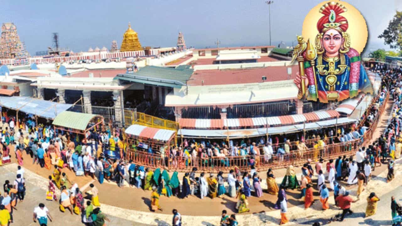 தைப்பூச திருவிழா...பழனி முருகன் கோயிலில் 3 நாள்கள் கட்டண தரிசனம் ரத்து! தைப்பூச திருவிழா...பழனி முருகன் கோயிலில் 3 நாள்கள் கட்டண தரிசனம் ரத்து!