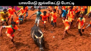பாலமேடு ஜல்லிகட்டு போட்டி.. தயாராக இருக்கும் வீரர்கள், காளைகள்.. போட்டி நேரத்தில் திடீர் மாற்றம்..