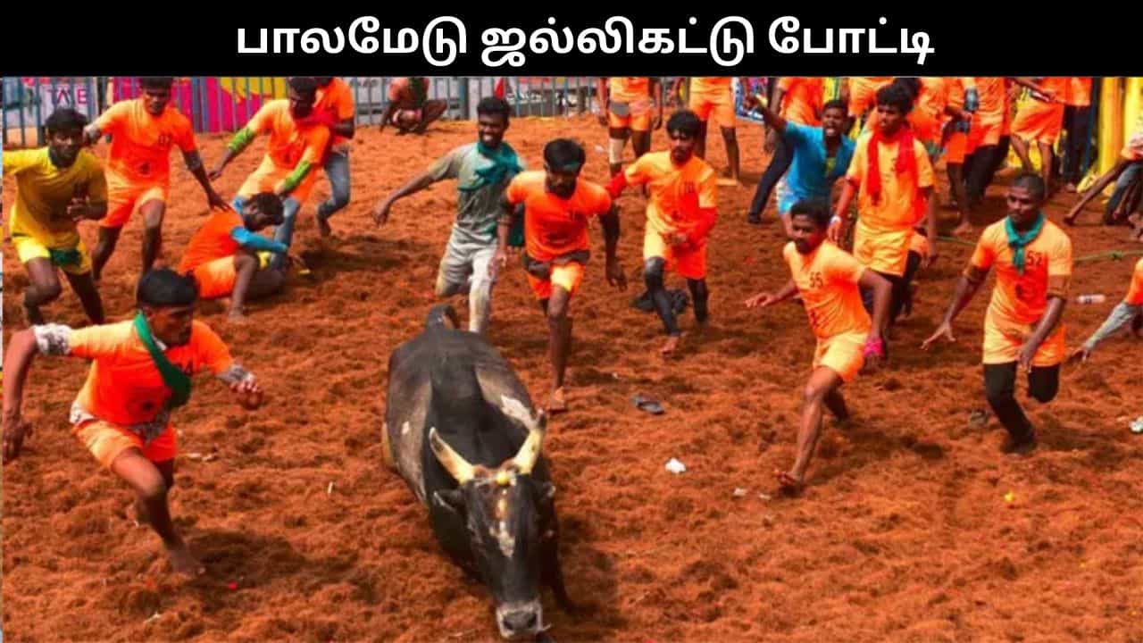 பாலமேடு ஜல்லிகட்டு போட்டி.. தயாராக இருக்கும் வீரர்கள், காளைகள்.. போட்டி நேரத்தில் திடீர் மாற்றம்..