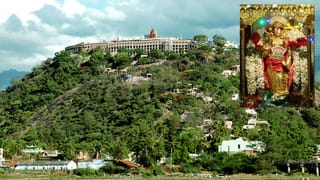 பழனி முருகன் கோயிலில் நாளை தைப்பூச திருவிழா கொடியேற்றம்…பல்வேறு முன்னேற்பாடுகள்!