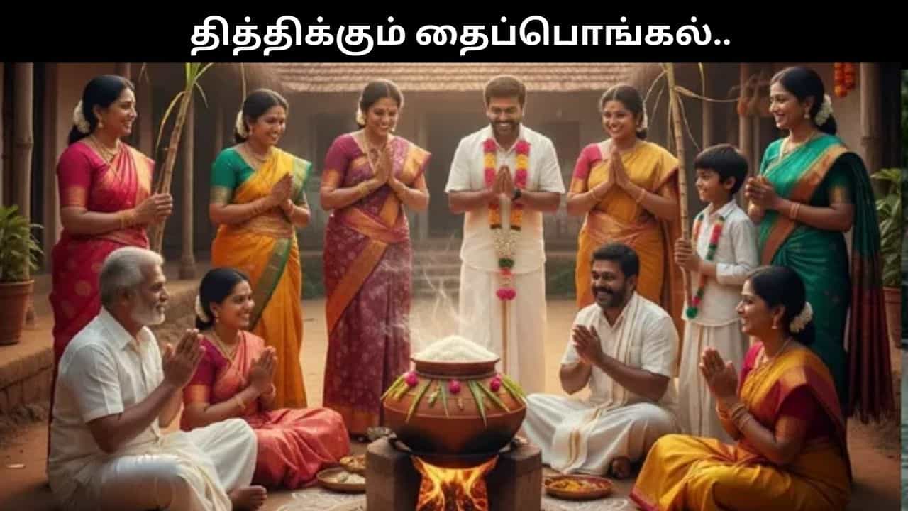 தித்திக்கும் தைப்பொங்கல்.. தமிழகம் முழுவதும் கோலாகலமாக கொண்டாட்டம்!!