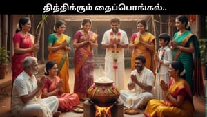 தித்திக்கும் தைப்பொங்கல்.. தமிழகம் முழுவதும் கோலாகலமாக கொண்டாட்டம்!!