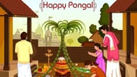 பொங்கல் எப்போது, ​​ஏன் கொண்டாடப்படுகிறது?...