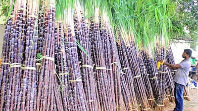 சூடுபிடிக்கும் பொங்கல் பொருள்கள் விற்பனை!