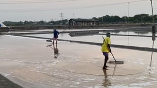 உப்பு எப்படி உற்பத்தியாகிறது? வேலையை தொடங்கிய தூத்துக்குடி பணியாளர்கள்!