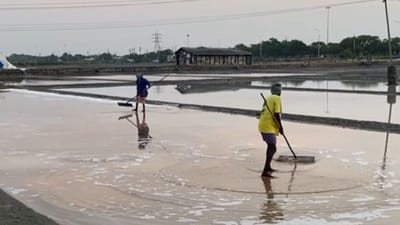 உப்பு உற்பத்தியை தொடங்கிய தூத்துக்குடி பணியாளர்கள்