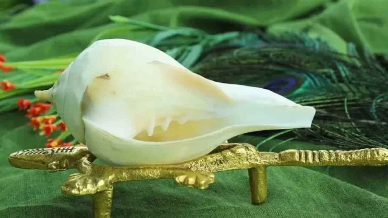 வீட்டில் சங்கு இருந்தால் எத்தனை நன்மைகள் தெரியுமா?  ஆன்மீக முக்கியத்துவம் இவைதான்!