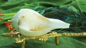 வீட்டில் சங்கு இருந்தால் எத்தனை நன்மைகள் தெரியுமா?  ஆன்மீக முக்கியத்துவம் இவைதான்!...