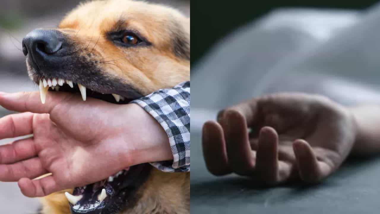 நாய் கடிக்கு ஆளான சிறுவன்..பெற்றோரிடம் மறைத்ததால் விபரீதம்...3 மாதங்களுக்கு பிறகு உயிரிழந்த பரிதாபம்!