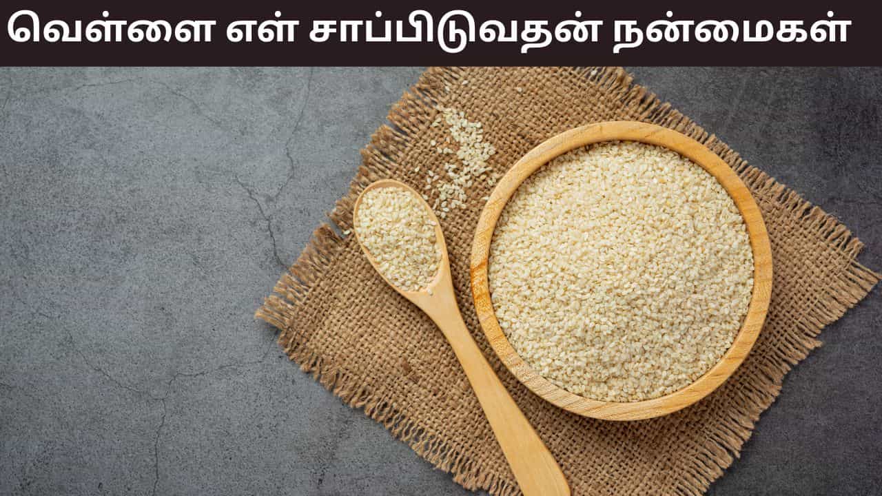 Health Tips: தினமும் ஒரு ஸ்பூன் வெள்ளை எள்! எலும்பு முதல் இதயம் வரை வலுப்பெறும் ரகசியம்..!