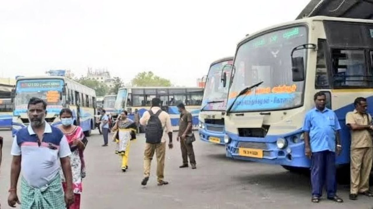பொங்கல் பண்டிகை ஒட்டி இந்த ஆண்டு வழக்கமாக இயக்கப்படும் பேருந்துகளுடன் கூடுதலாக சிறப்பு பேருந்துகள் இயக்கப்பட்டு வருகிறது. சென்னையில் கிளாம்பாக்கம், மாதவரம், கோயம்பேடு பேருந்து நிலையங்களில் இருந்து சிறப்பு பேருந்துகள் இயக்கப்படும் 
