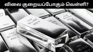 Silver : வெள்ளி வாங்கும் திட்டமா?.. இதனை கவனியுங்கள்.. அடுத்த சில மாதங்களில் தலைகீழாக மாற போகும் நிலை!