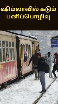 ஷிம்லாவில் கடும் பனிப்பொழிவு - சுற்றுலா பயணிகளின் கவனத்தை ஈர்த்த ஹெரிடேஜ் டாய் டிரெயின்...