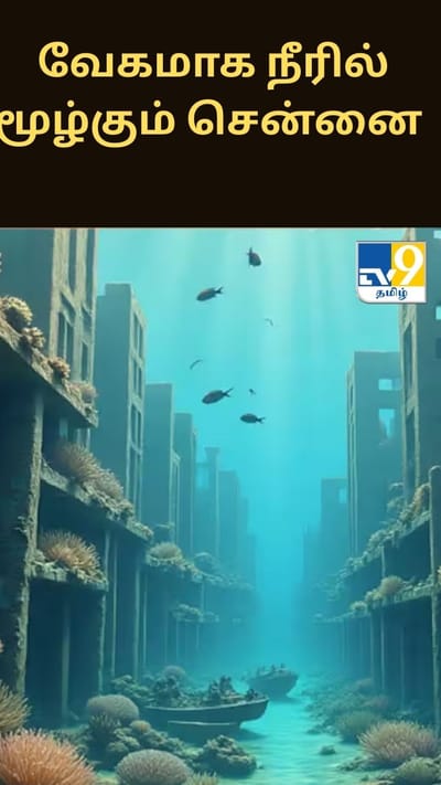 வேகமாக நீரில் மூழ்கும் சென்னை - சீங்கப்பூர் பல்கலைக்கழகத்தின் அதிர்ச்சி ரிப்போர்ட்