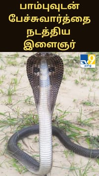 பாம்புவுடன் பேச்சுவார்த்தை நடத்திய இளைஞர் - வைரலாகும் வீடியோ...