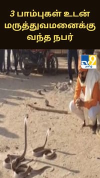 3 நாகப் பாம்புகள் உடன் மருத்துவமனைக்கு வந்த நபர்.. பீகாரில் நடந்த பரபரப்பு சம்பவம்.....