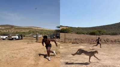 சிறுத்தையுடன் போட்டியிட்ட பிரபல யூடியூபர் - வைரல் வீடியோ!