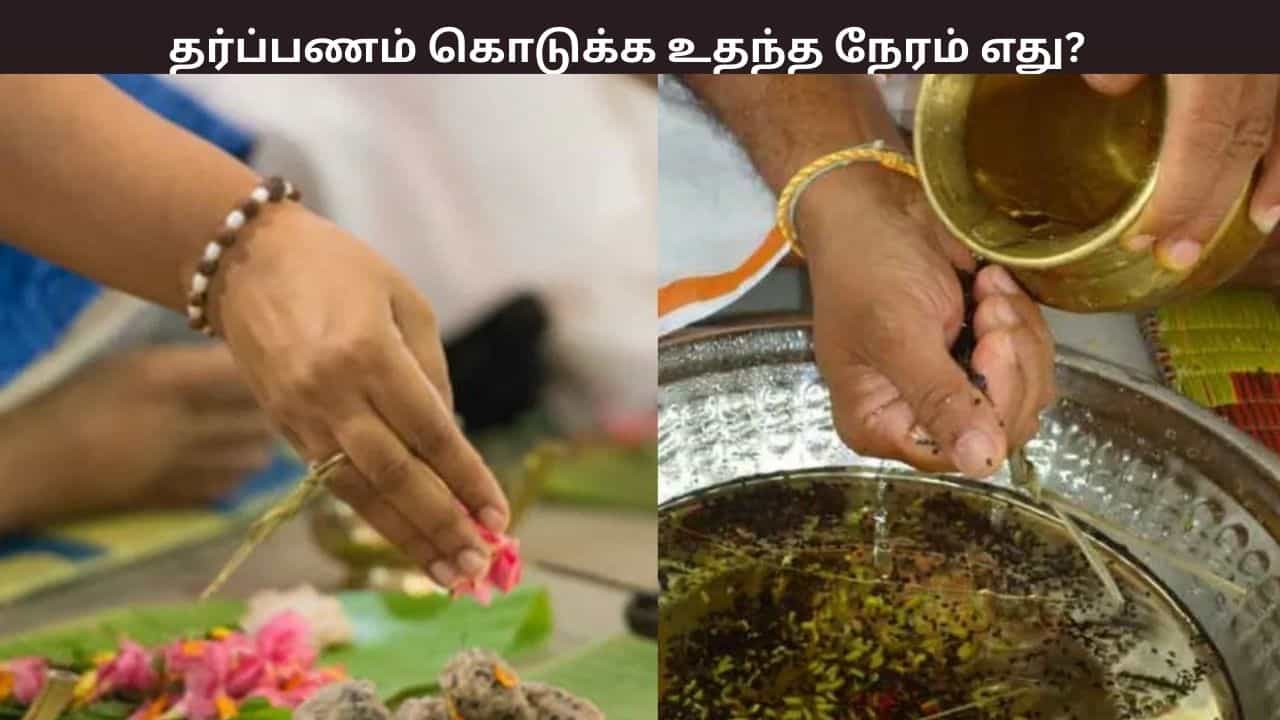 தை அமாவாசை: தர்ப்பணம் கொடுக்க உகந்த நேரம் எது? அதன் சிறப்புகள் என்ன? தை அமாவாசை: தர்ப்பணம் கொடுக்க உகந்த நேரம் எது? அதன் சிறப்புகள் என்ன?