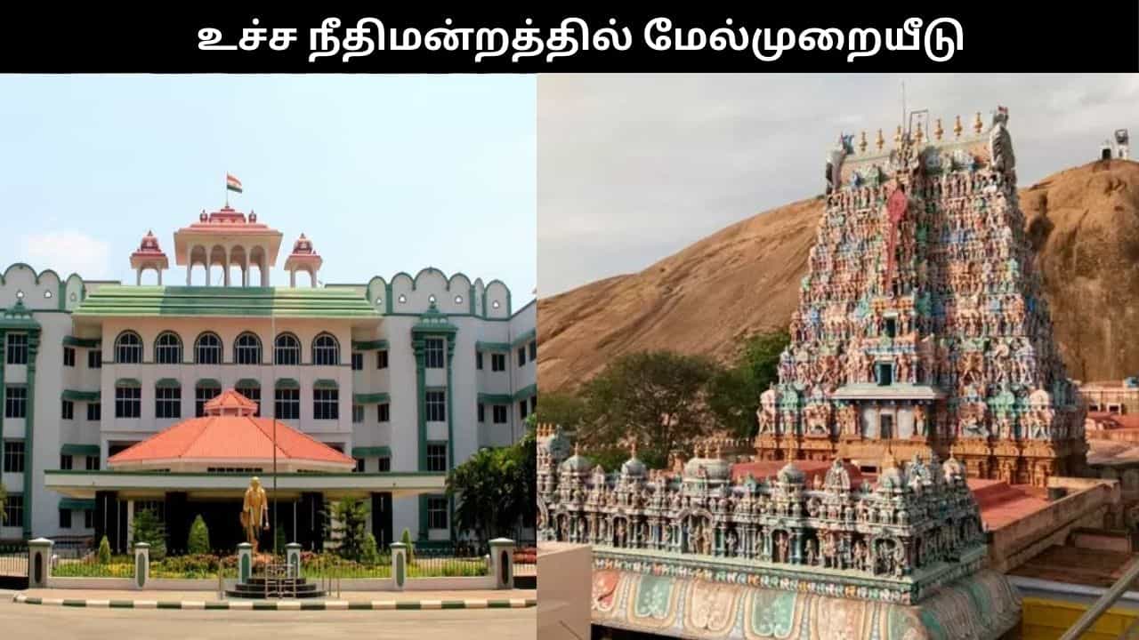 திருப்பரங்குன்றம் வழக்கு: உச்சநீதிமன்றத்தில் மேல்முறையீடு செய்ய தமிழக அரசு முடிவு!! திருப்பரங்குன்றம் வழக்கு: உச்சநீதிமன்றத்தில் மேல்முறையீடு செய்ய தமிழக அரசு முடிவு!!