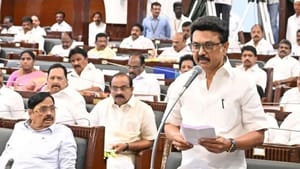 தமிழக இடைக்கால பட்ஜெட் எப்போது? என்ன எதிர்பார்க்கலாம்? வெளியான தகவல் தமிழக இடைக்கால பட்ஜெட் எப்போது? என்ன எதிர்பார்க்கலாம்? வெளியான தகவல்