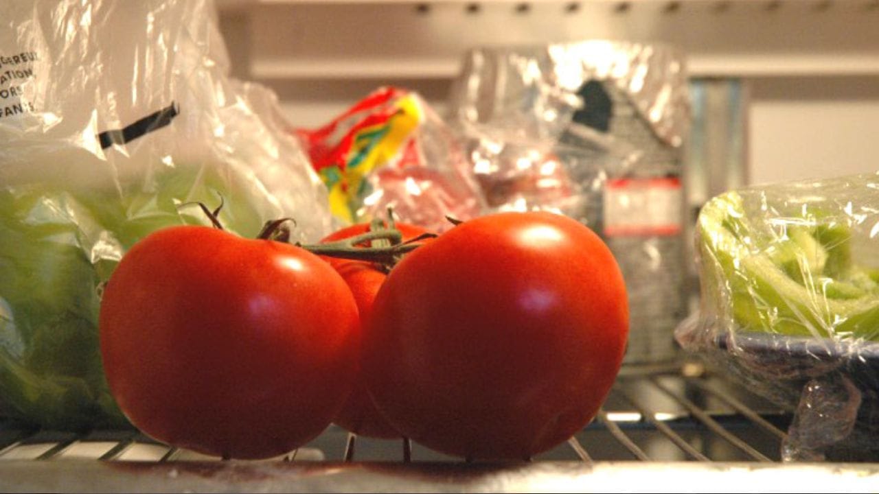 பழுக்காத பச்சைத் தக்காளியை ஒருபோதும் குளிர்சாதனப் பெட்டியில் வைக்கக் கூடாது. அவை பழுப்பதற்கு மிதமான வெப்பமும் காற்றோட்டமும் தேவை. பழுக்காத தக்காளியை அறை வெப்பநிலையில், நேரடி சூரிய ஒளி படாத இடத்தில் வைத்தால் விரைவில் பழுத்துவிடும். பழுக்காத தக்காளியைக் குளிர்சாதனப் பெட்டியில் வைத்தால், அது பழுக்கும் செயல்முறை தடைபட்டு, அதன் சுவை மந்தமாகிவிடும்.பழுத்த தக்காளியைக் குளிர்சாதனப் பெட்டியில் வைக்கும்போது, காய்கறிகளுக்கென உள்ள தனிப் பகுதியில் வைப்பது நல்லது.