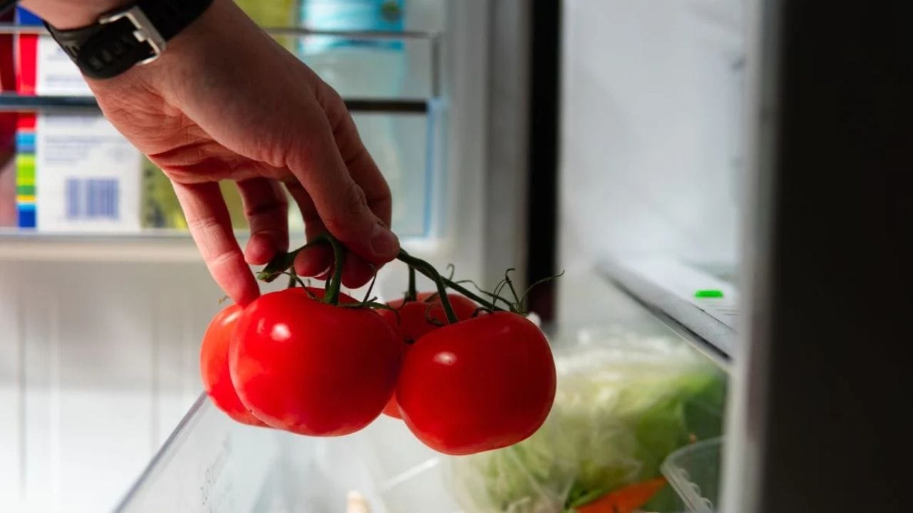 இரண்டிலிருந்து மூன்று நாட்களுக்குள் பயன்படுத்தப் போகிறீர்கள் என்றால், குளிர்சாதனப் பெட்டியில் வைக்காமலேயே வெளியில் வைத்திருக்கலாம். தக்காளியை ஒரு வாரத்திற்கு மேல் குளிர்சாதனப் பெட்டியில் வைத்திருந்தால், அது உள்ளிருந்து அழுகத் தொடங்கலாம். வெளிப்படையாக நன்றாகத் தெரிந்தாலும், உள்ளே கெட்டுப்போயிருக்க வாய்ப்புள்ளது.