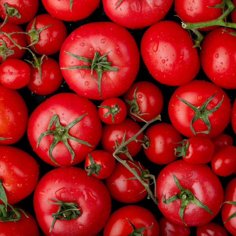 பச்சையாக தக்காளியில் வைட்டமின் சி நிறைந்துள்ளது, இது உடலின் நோய் எதிர்ப்பு சக்தியை பலப்படுத்துகிறது. சமைக்காமல் சாப்பிடுவதால் அவற்றின் வைட்டமின் சி பாதுகாக்கப்படுகிறது. இது சளி மற்றும் தொற்றுகளைத் தடுக்க உதவுகிறது.