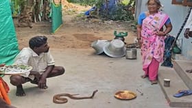 நல்ல பாம்பை பிடித்து வந்து ஆரத்தி எடுத்து வினோத வழிபாடு…அதுவும் தமிழ்நாட்டில்…எங்கு தெரியுமா!...