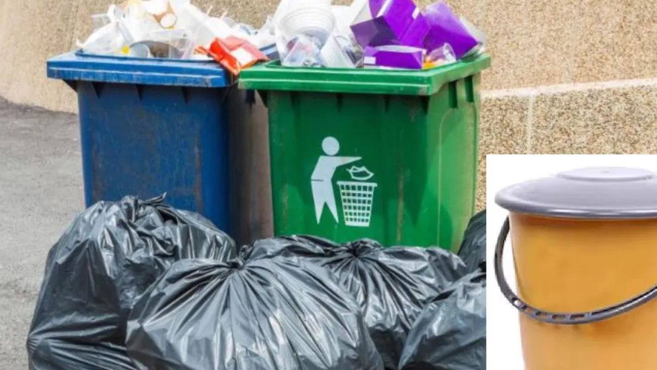 இயற்கை ஒளி இல்லாத வீட்டின் மூலைகளில் எதிர்மறை ஆற்றல் இருக்கலாம், இது வாஸ்து தோஷத்தை ஏற்படுத்தும். இது தவிர, வீட்டைச் சுற்றியும் பிரதான நுழைவாயிலிலும் உள்ள குப்பைகளும் வாஸ்து தோஷத்தை ஏற்படுத்தும்.