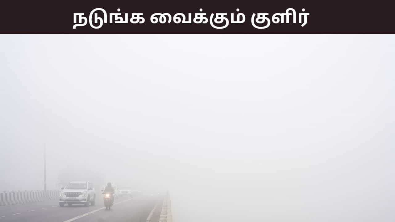 கடும் குளிர்.. தர்மபுரியில் 16 டிகிரி வரை குறைந்த வெப்பநிலை.. தமிழகத்தில் தொடரும் பனிமூட்டம்.. கடும் குளிர்.. தர்மபுரியில் 16 டிகிரி வரை குறைந்த வெப்பநிலை.. தமிழகத்தில் தொடரும் பனிமூட்டம்..