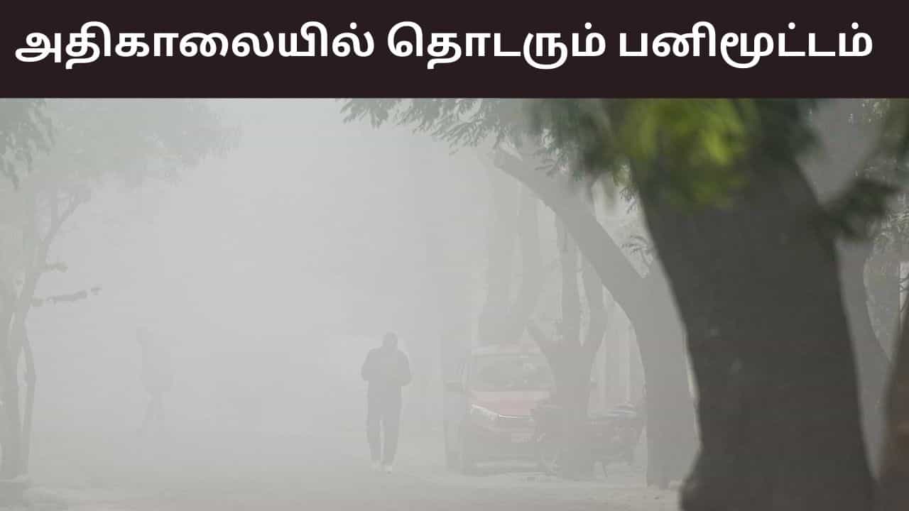 இனி நோ மழை.. ஆனால் அதிகாலையில் பனிமூட்டம் இருக்கும் - வானிலை ரிப்போர்ட்
