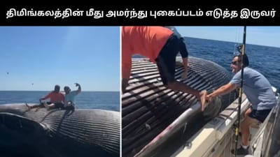 இறந்த திமிங்கலத்தின் மீது அமர்ந்து புகைப்படம் எடுத்த இருவர்!