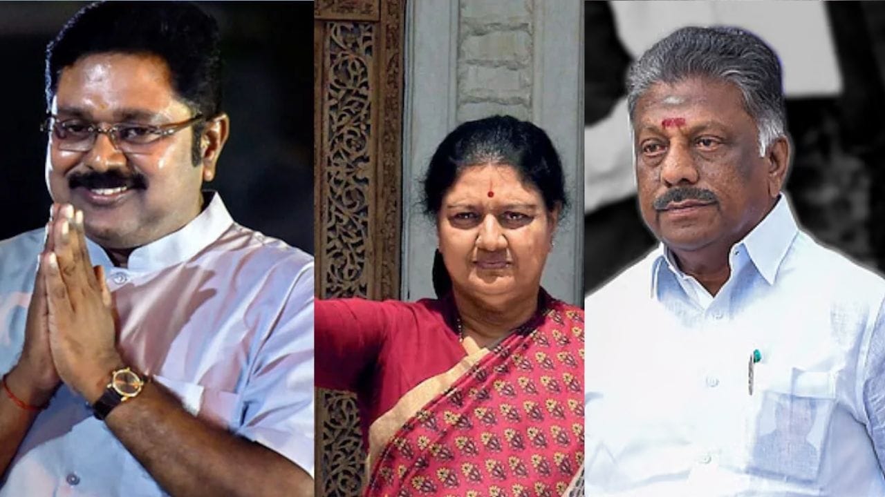 அதிமுகவிலிருந்து பிரிந்து டிடிவி தினகரனின் அம்மா மக்கள் முன்னேற்ற கழகம், சசிகலா தொடங்கிய புதிய கட்சி, மேலும் ஓ. பன்னீர்செல்வம் தனிப்பட்ட நிலைப்பாடு என வாக்கு வங்கி இரண்டு அல்லது மூன்று பிரிவுகளாகப் பிளவுபட்டுள்ளது. தற்போது ஓ. பன்னீர்செல்வம் திமுகவில் இணைந்துள்ளதால், அதிமுகவின் வாக்குகள் மேலும் சிதறும் என அரசியல் விமர்சகர்கள் கருத்து தெரிவிக்கின்றனர். கூட்டணி வலுவாக இருந்தாலும், வாக்கு வங்கி பலவீனமடைய வாய்ப்பு இருப்பதாக கூறப்படுகிறது.