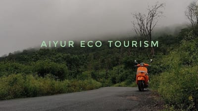 மூங்கில் காடுகள் நிறைந்த யானைகள் நடமாடும் சுற்றுலா பகுதி!