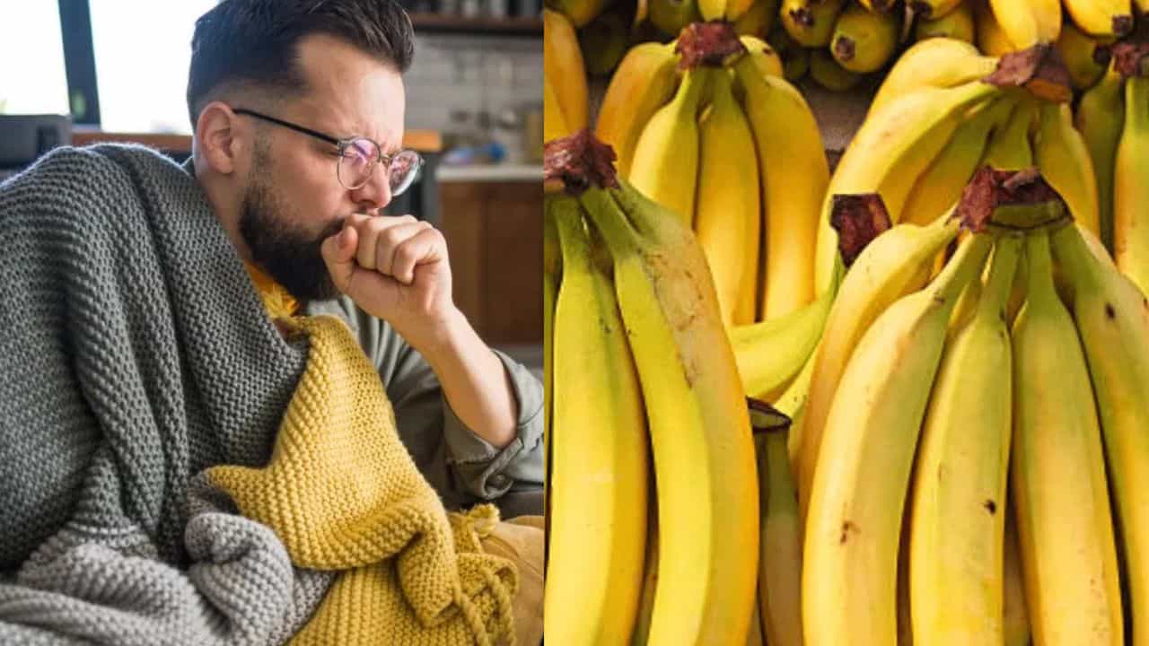 இருமல் அல்லது சளி இருக்கும்போது வாழைப்பழம் சாப்பிடலாமா? மருத்துவர்கள் சொல்வது என்ன? இருமல் அல்லது சளி இருக்கும்போது வாழைப்பழம் சாப்பிடலாமா? மருத்துவர்கள் சொல்வது என்ன?