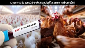 பறவைக் காய்ச்சல் பாதிப்பு.. வதந்திகளை நம்ப வேண்டாம்.. விழிப்புணர்வு கொடுத்த தமிழக அரசு!!...