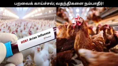 பறவைக் காய்ச்சல் பாதிப்பு: வதந்திகளை நம்பாதீர்..