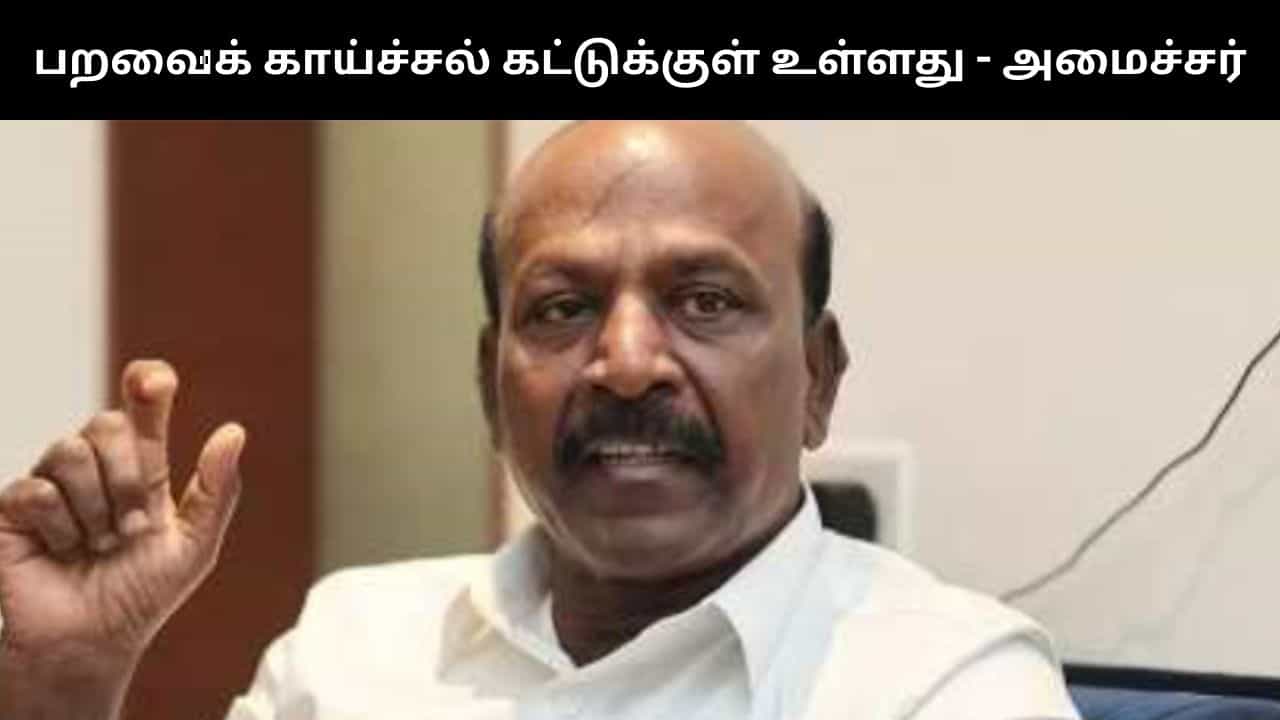 தமிழகத்தில் பறவைக் காய்ச்சல் கட்டுக்குள் உள்ளது.. அமைச்சர் மா.சுப்பிரமணியன்!