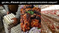 முட்டை, சிக்கனில் இருந்து பறவைக்காய்ச்சல் பரவுமா? விளக்கம்!!...