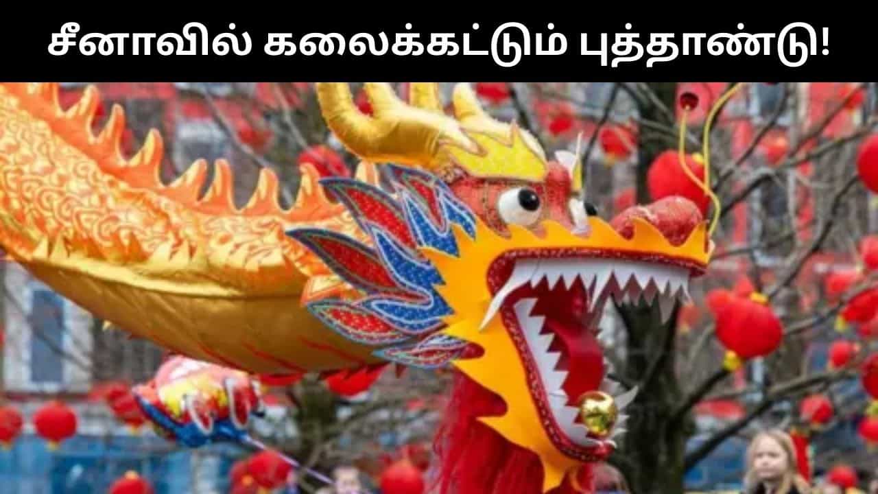 சீனாவில் கலைக்கட்ட தொடங்கிய புத்தாண்டு.. பொதுமக்களுக்கு சர்ப்ரைஸ் விசிட் கொடுத்த ஜி ஜின்பிங்!