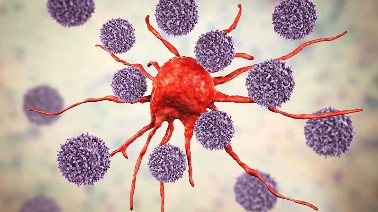 ஆயுர்வேதம் புற்றுநோயை தடுக்குமா? பாபா ராம்தேவ் விளக்கம்