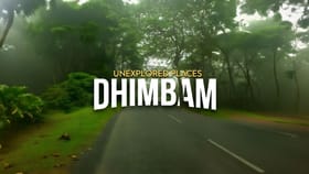 27 கொண்டை ஊசி வளைவுகள்.. யானைகள்-புலிகள் நிறைந்த சுற்றுலா தலம்.. திகிலூட்டும் அனுபவத்துக்கு இங்க போங்க!...