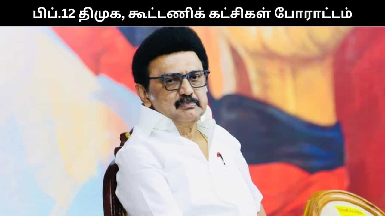 மத்திய பட்ஜெட்.. பாஜகவை கண்டித்து பிப்.12 திமுக, கூட்டணிக் கட்சிகள் போராட்டம் அறிவிப்பு!