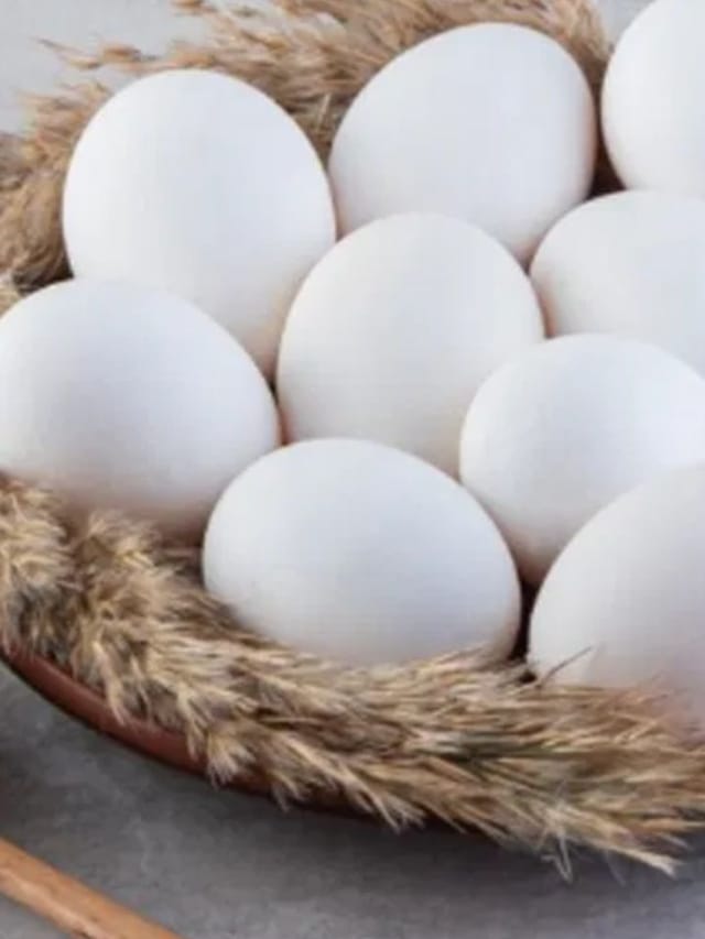 முட்டைக்கு நிகரான புரதம் உள்ள சைவ உணவு எது?