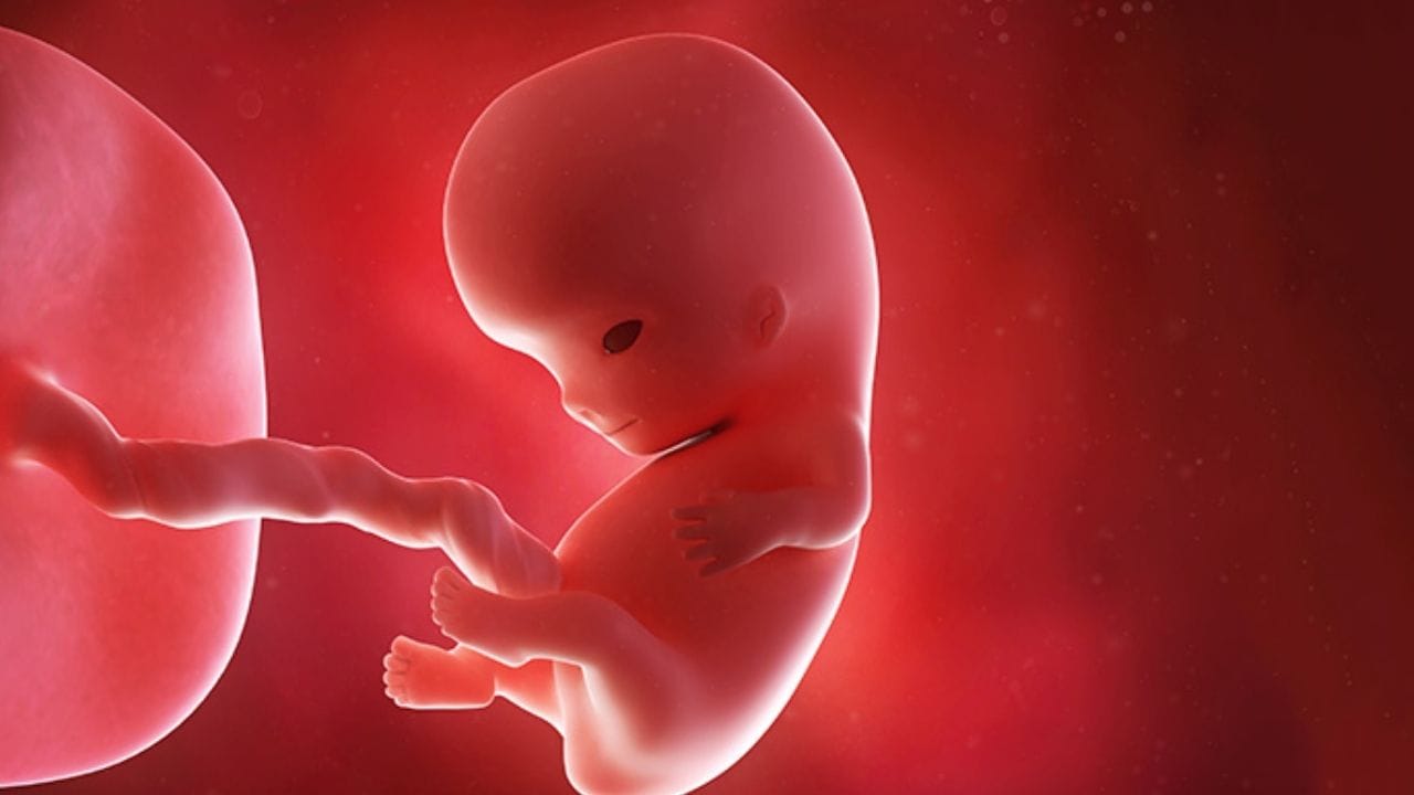 இதற்காக கடந்த 1994-ஆம் ஆண்டு PCPNDT என்ற சட்டம் இயற்றப்பட்டது. இந்த சட்டம் இந்தியாவில் ஒரு காலத்தில் அதிக அளவு இருந்து வந்த பெண் சிசு கொலைகளை தடுக்கவும், பாலின விகிதத்தை சமநிலை படுத்தவும் அமல்படுத்தப்பட்டது. மேலும், அல்ட்ரா சவுண்ட் உள்ளிட்ட ஸ்கேன் முறைகள் மூலம் பாலினத்தை அறிவதையும் அதனை தெரிவிப்பதையும் தடுப்பதற்காக இந்த சட்டம் அமல்படுத்தப்பட்டது.