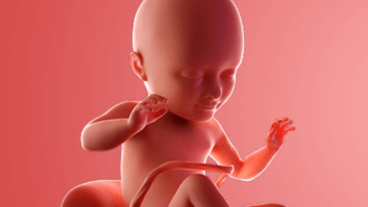 கடந்த 2025- ஆம் ஆண்டில் மட்டும் இந்த சட்டத்தை மீறியதாக 15 ஸ்கேன் சென்டர்கள் மீது நடவடிக்கை எடுக்கப்பட்டுள்ளது. தமிழக அரசின் பல்வேறு நடவடிக்கைகளால் கடந்த 2021 ஆம் ஆண்டு முதல் 2022 ஆம் ஆண்டு வரை 934- ஆக இருந்த பாலின விகிதம், தற்போது 2025 முதல் 2026 ஆம் ஆண்டு வரை 941- ஆக அதிகரித்துள்ளதாக மக்கள் நல்வாழ்வுத்துறை வெளியிட்டுள்ள அறிக்கையில் குறிப்பிடப்பட்டுள்ளது.