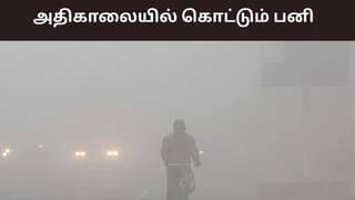 உருவாகும் காற்றழுத்த தாழ்வு பகுதி.. தமிழகத்தில் மழை இருக்குமா? தொடரும் பனிமூட்டம்..