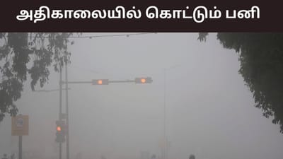 அதிகாலையில் கொட்டும் பனி.. இன்னும் எத்தனை நாட்களுக்கு இருக்கும்?
